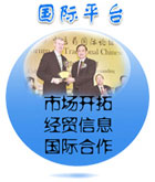 国际平台